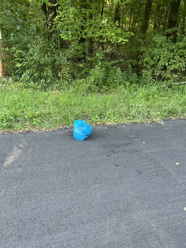 Custom garden landscaping in Baltimore, MD by H&H Landscaping