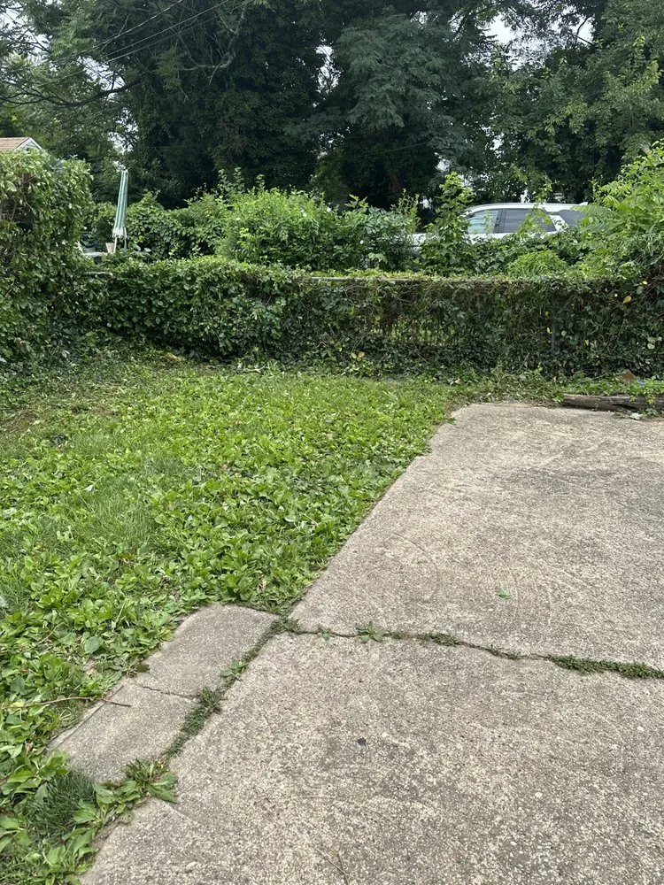 Expert yard cleanup service for beautiful yards across Baltimore, MD - H&H Landscaping