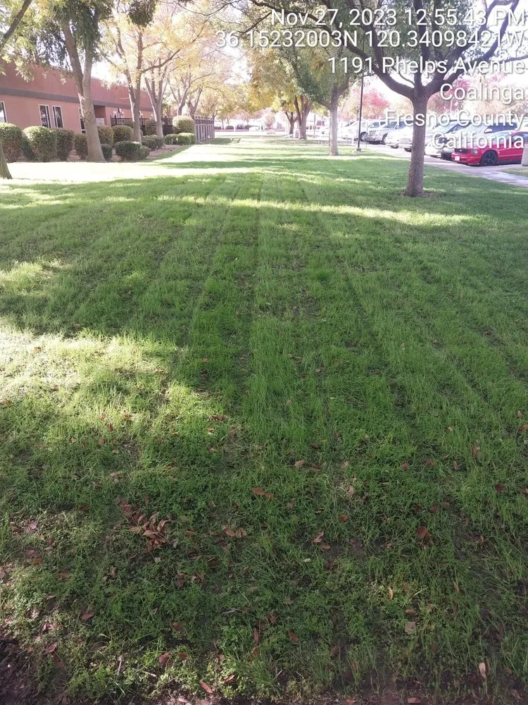 Trusted yard cleanup service with custom design across Coalinga, CA - H&H Landscaping lawn service plus