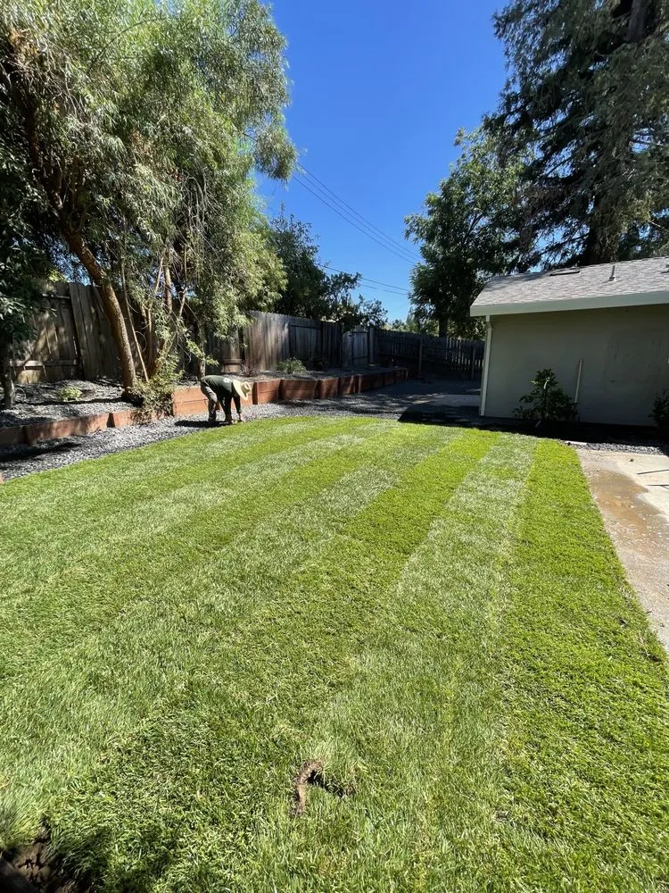 Professional yard cleanup service near you across Sacramento, CA - H&H Landscaping
