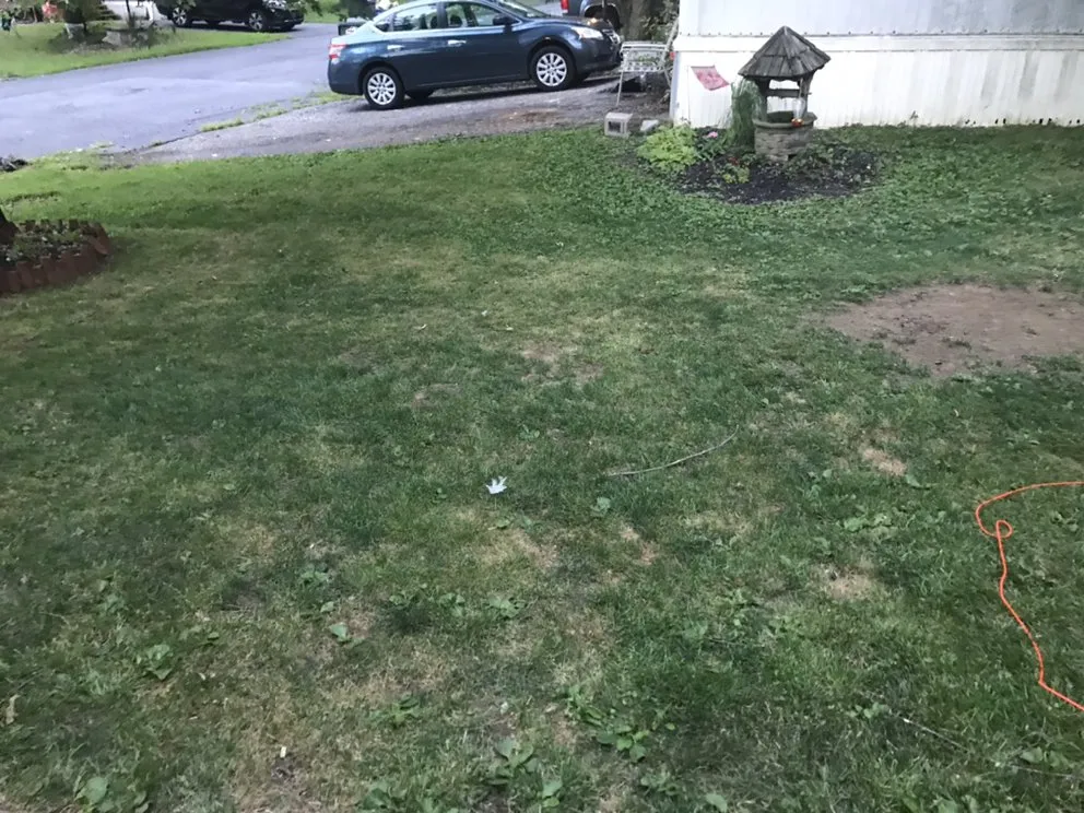 Top-rated yard cleanup service experts serving Carlisle, PA - H&H Lawn and Repair