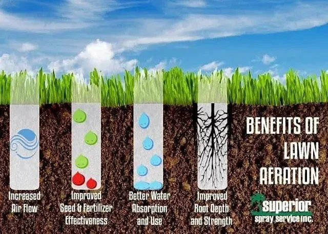 Custom landscape installation for year-round maintenance in Clarksville, TN by H&H lawn Care & Home Repair