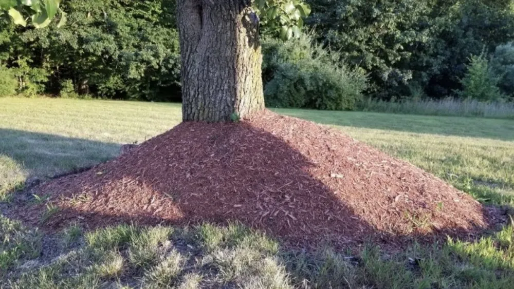 Local outdoor landscaping near you in Rapid City, MI by H&H Lawn Care