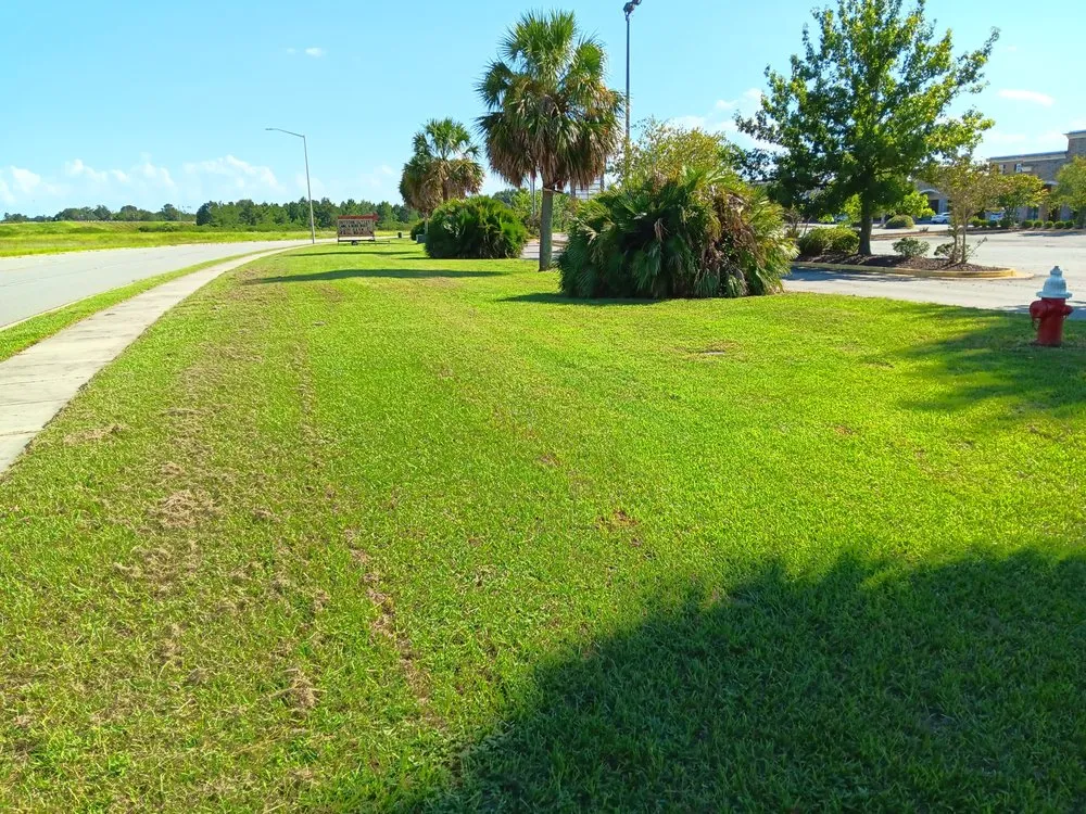 Affordable yard cleanup service near you in Cordele, GA by H&H Lawn Service