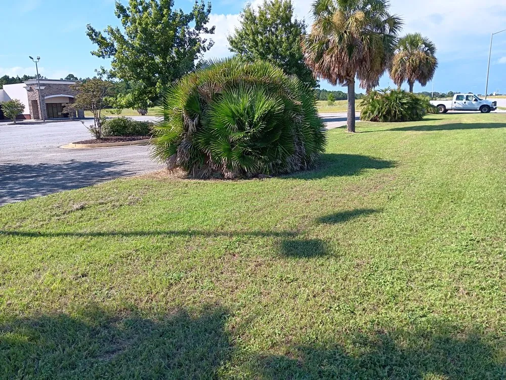 Top-rated landscape design in Cordele, GA by H&H Lawn Service