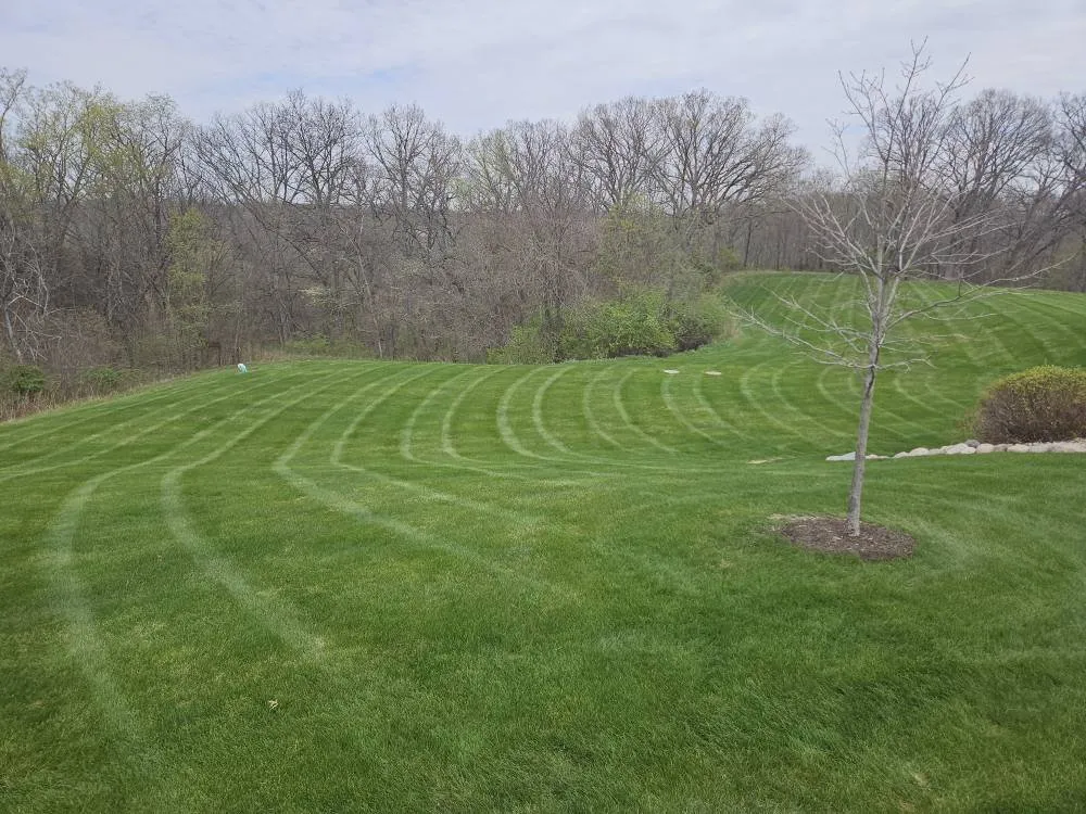 Trusted yard cleanup service in Fort Madison, IA by H&H Lawn Services