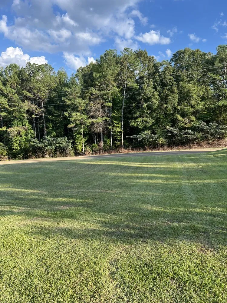 Local yard cleanup service in Myrtle, MS by H&H Lawncare