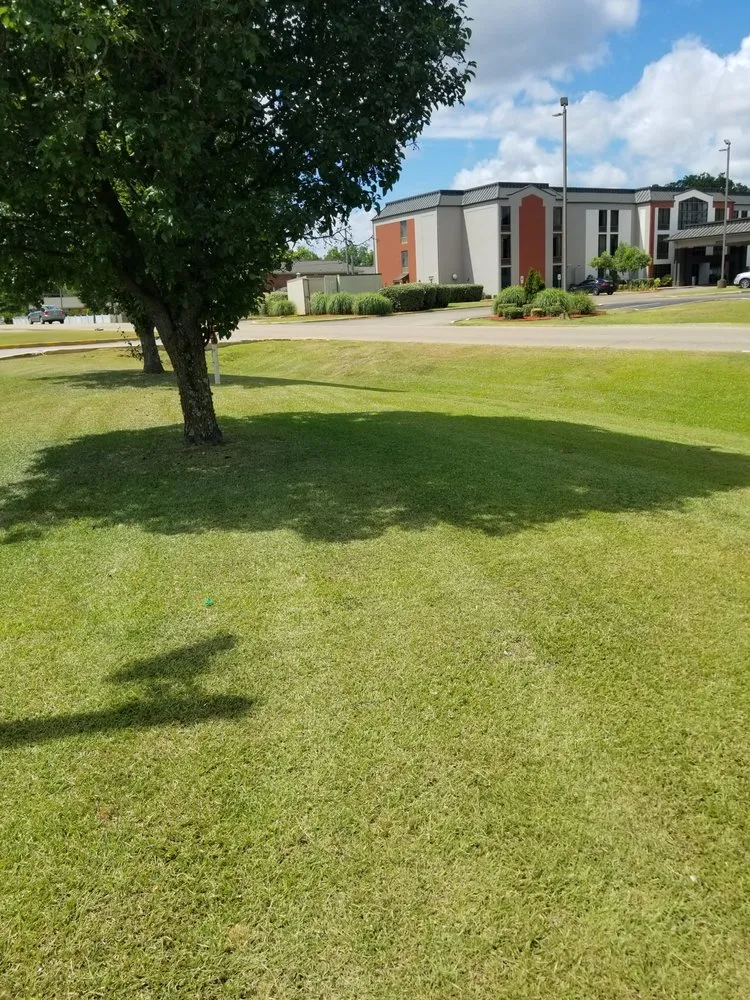 Affordable lawn care service in Myrtle, MS by H&H Lawncare