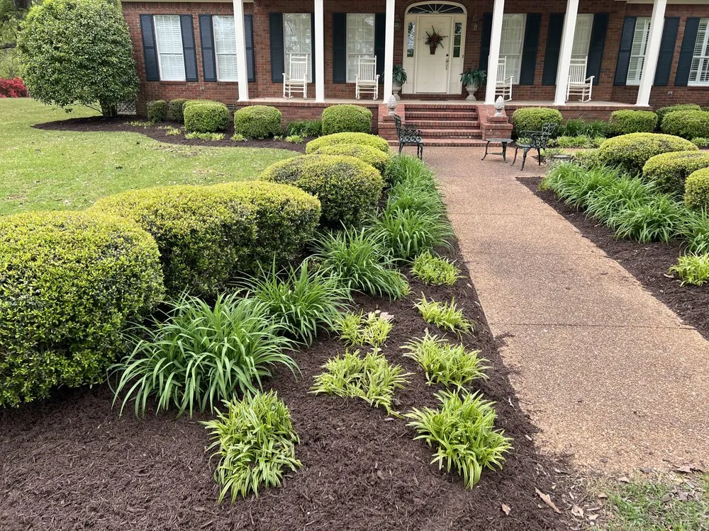 Affordable landscape design in Myrtle, MS - H&H Lawncare