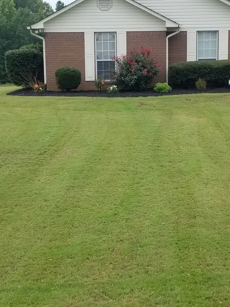 Expert lawn care service experts serving Myrtle, MS - H&H Lawncare