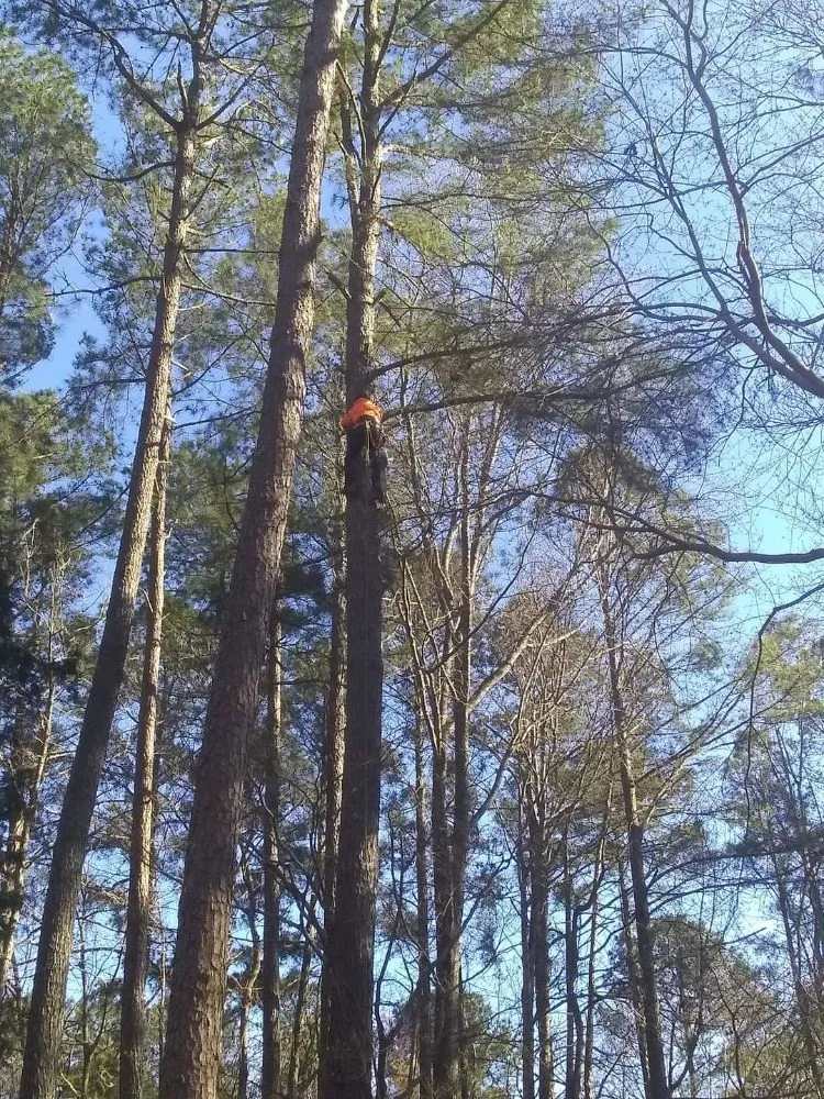 Top-rated lawn mowing service for beautiful yards across Lexington, NC - H&H Property Management