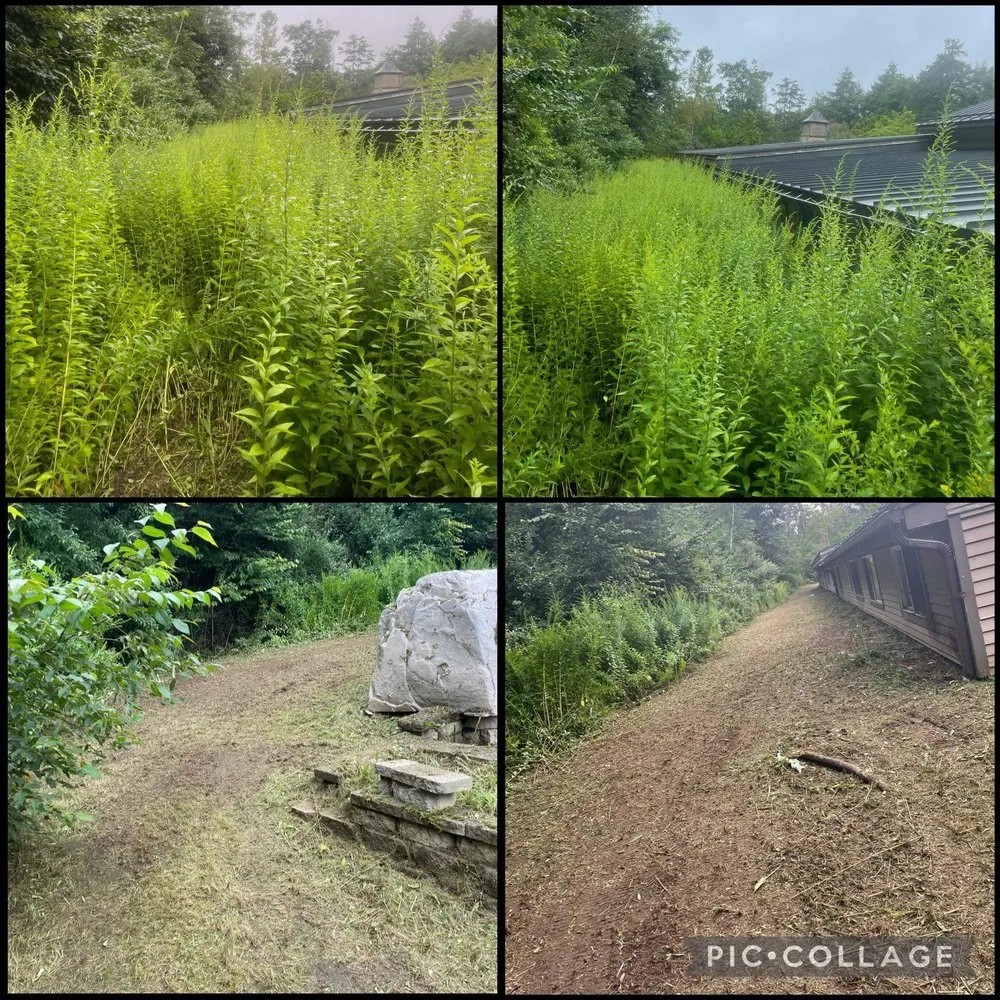 Custom yard cleanup service in New Britain, CT - H&H Services