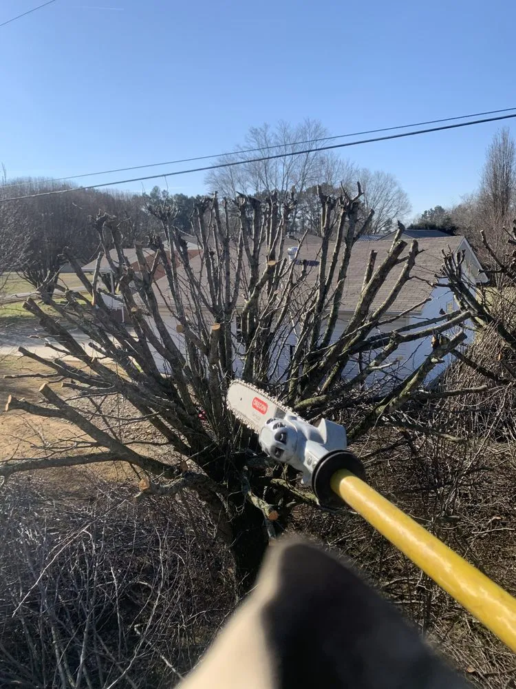 Top-rated landscape installation in Hazel Green, AL - H&H Tree Service