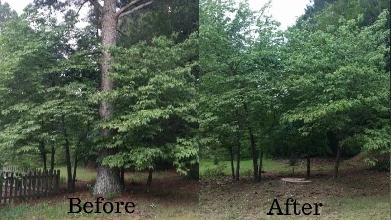 Local landscape installation with custom design in Hazel Green, AL by H&H Tree Service