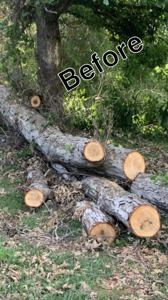 Top-rated landscape design for homes in Hazel Green, AL by H&H Tree Service