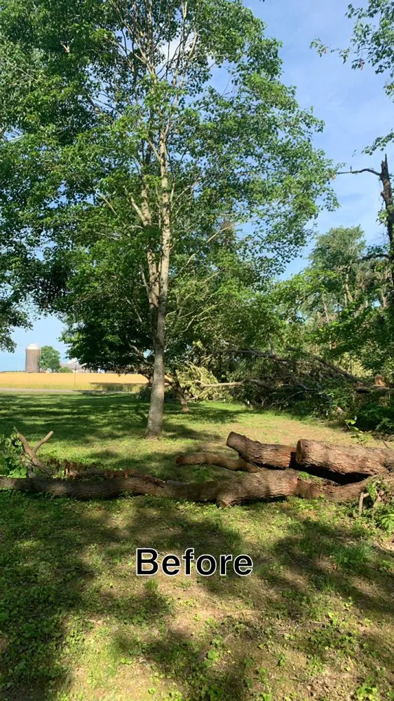 Custom lawn care service in Hazel Green, AL - H&H Tree Service