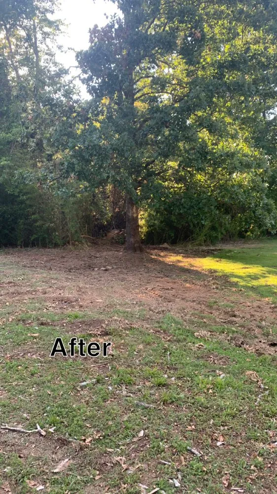 Reliable outdoor landscaping for residential properties in Hazel Green, AL by H&H Tree Service