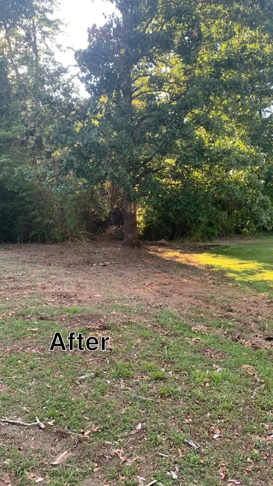 Top-rated lawn care service for outdoor upgrades in Hazel Green, AL by H&H Tree Service
