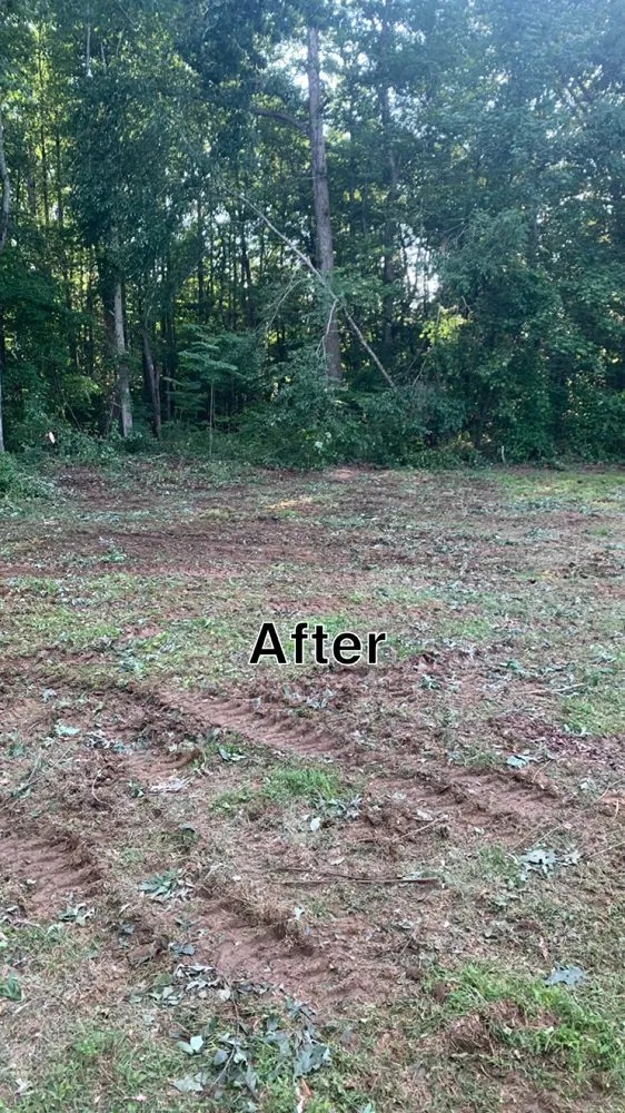 Professional lawn mowing service with custom design in Hazel Green, AL by H&H Tree Service