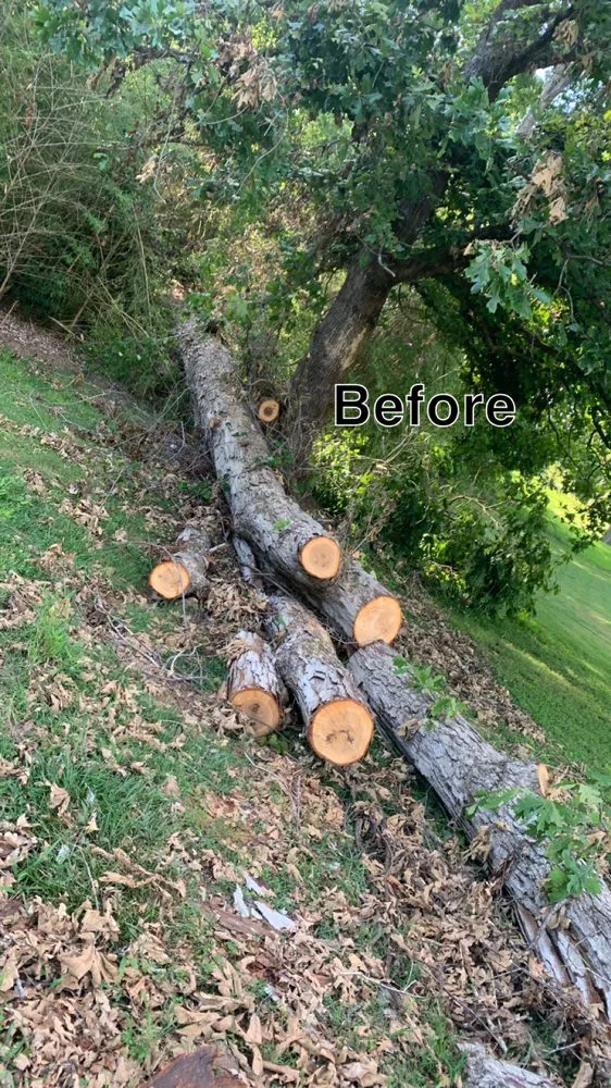 Local yard maintenance in Hazel Green, AL - H&H Tree Service