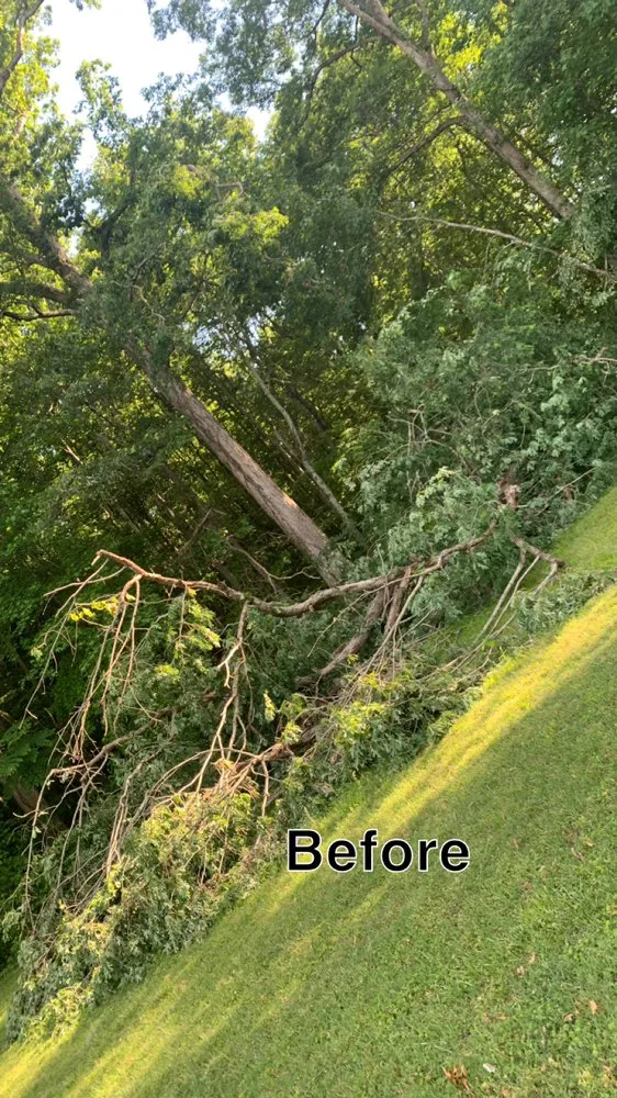 Local garden landscaping experts serving Hazel Green, AL - H&H Tree Service