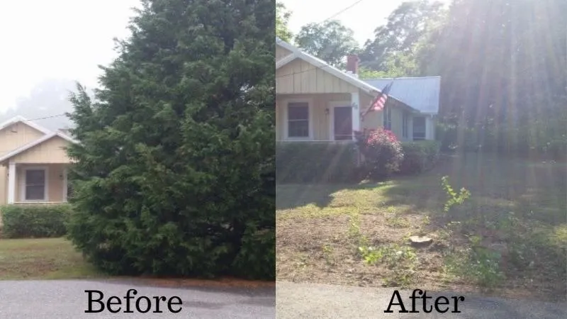 Expert lawn care service in Hazel Green, AL - H&H Tree Service