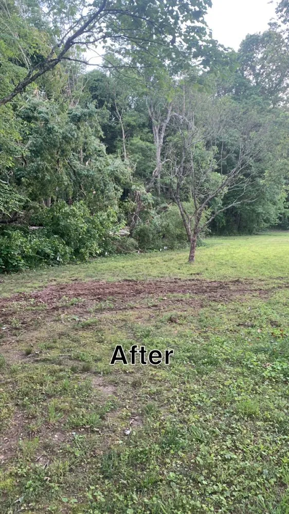 Top-rated lawn mowing service in Hazel Green, AL by H&H Tree Service
