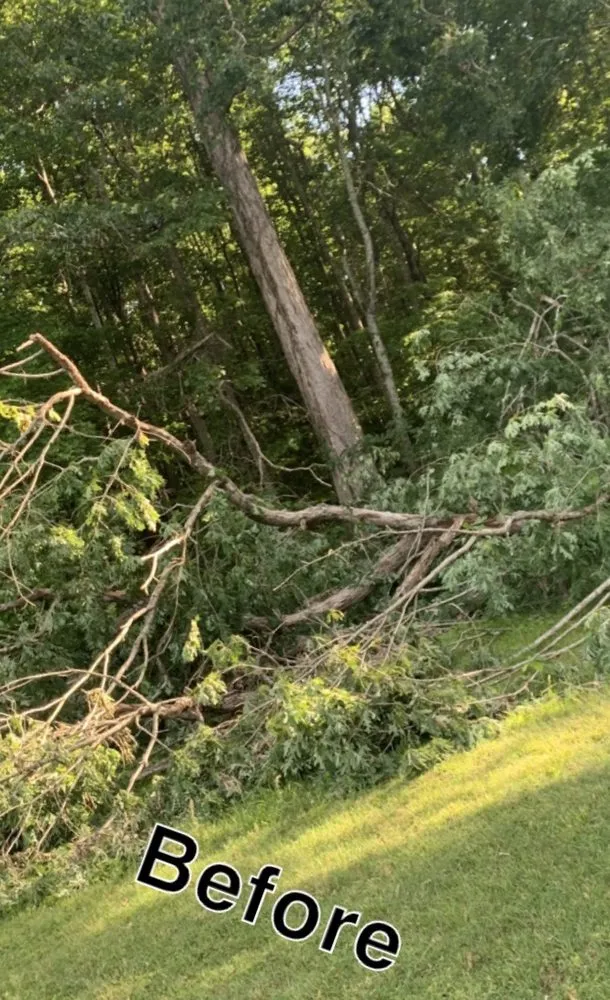 Reliable yard cleanup service for residential properties across Hazel Green, AL - H&H Tree Service