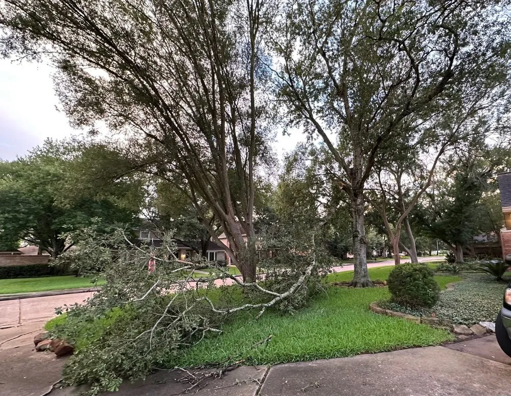 Trusted outdoor landscaping for homes across Houston, TX - H&H Tree Service