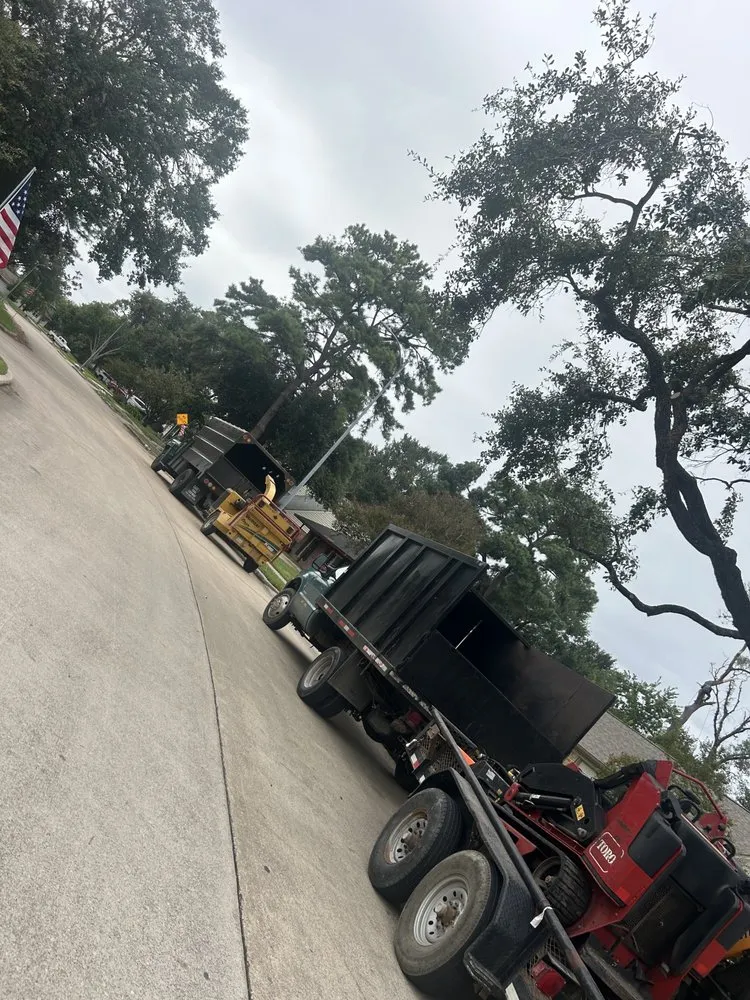 Professional outdoor landscaping in Houston, TX by H&H Tree Service