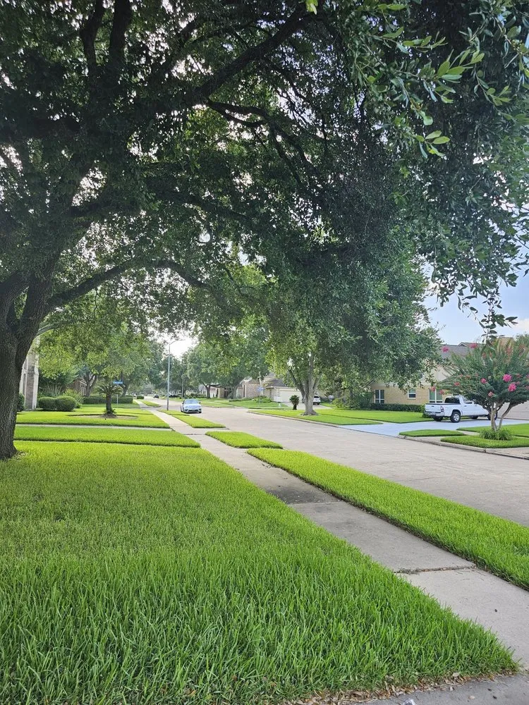 Trusted landscaping services experts serving Houston, TX - H&H Tree Service