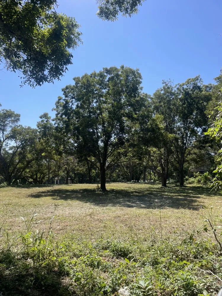 Top-rated yard maintenance experts serving Houston, TX - H&H Tree Service