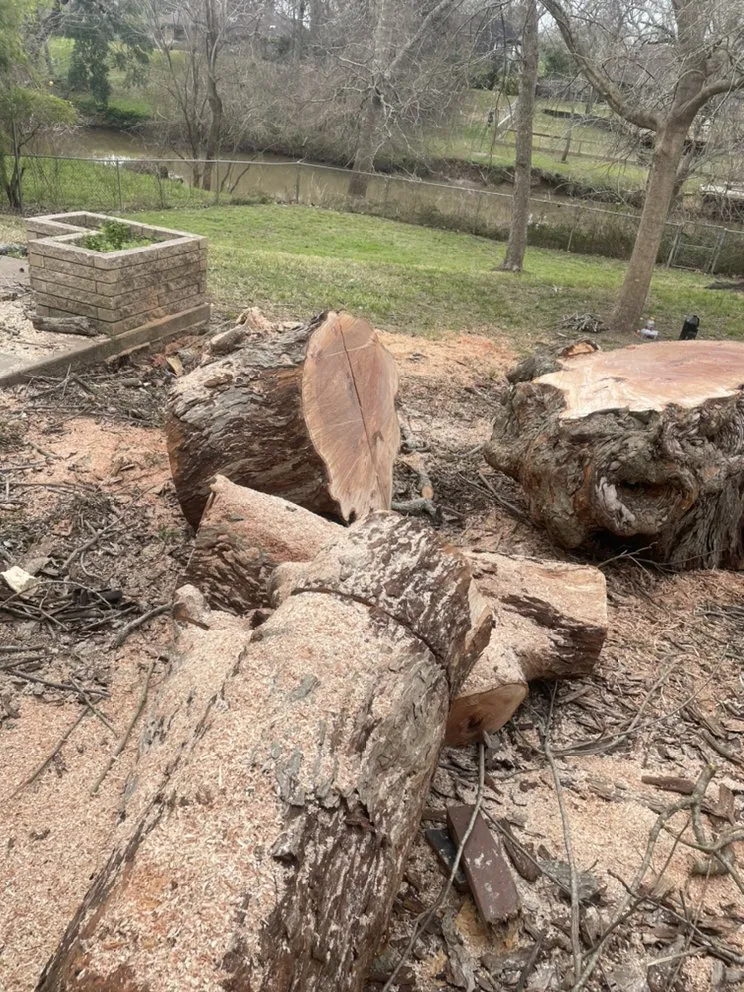 Affordable outdoor landscaping experts serving Houston, TX - H&H Tree Service