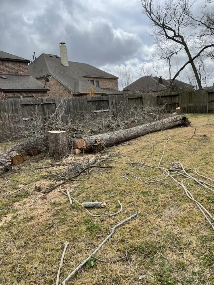 Custom landscaping services in Houston, TX - H&H Tree Service