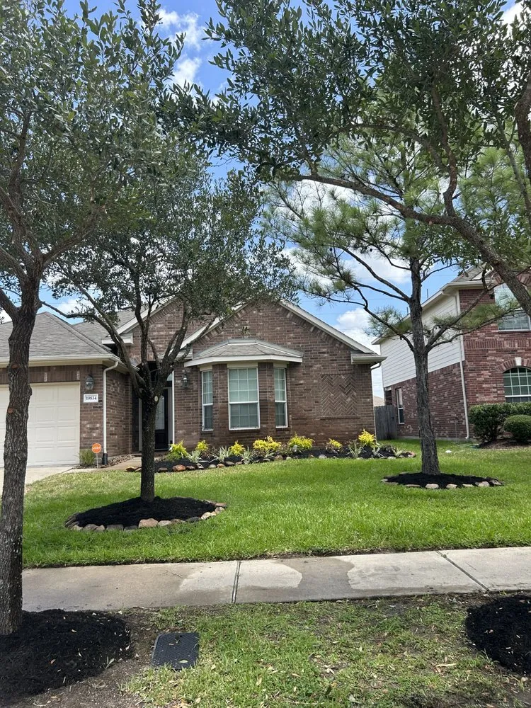 Reliable yard maintenance experts serving Houston, TX - H&H Tree Service