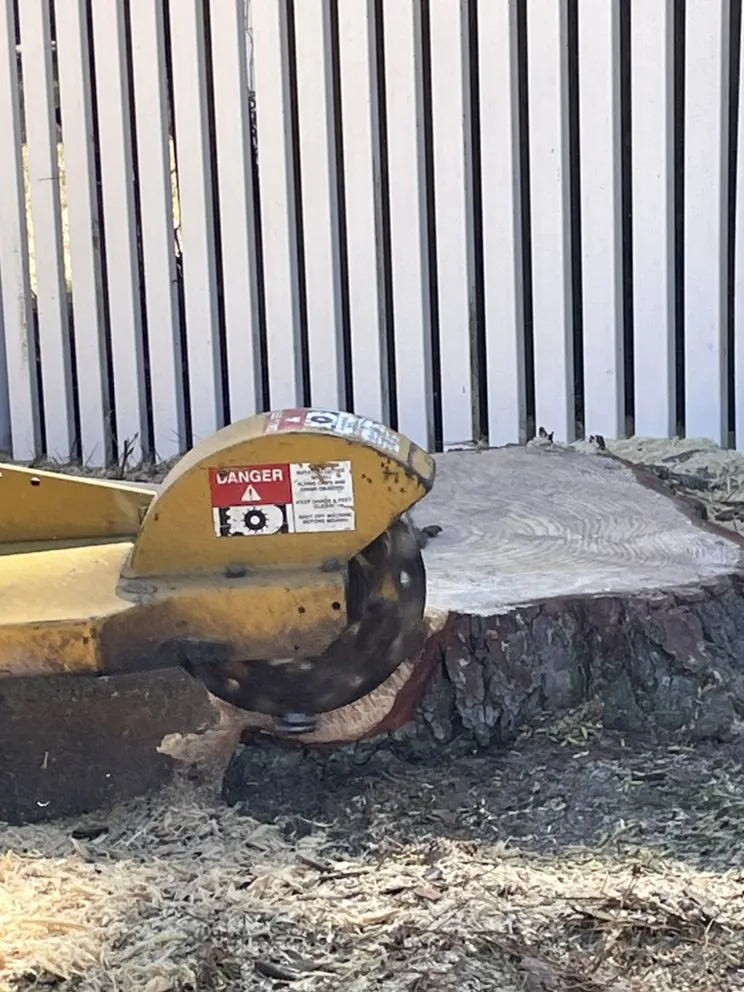 Custom landscape design for homes in Houston, TX by H&H Tree Service