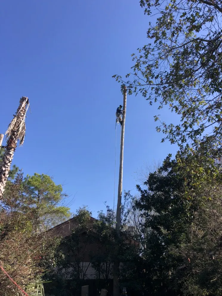 Reliable yard maintenance for outdoor upgrades across Houston, TX - H&H Tree Service