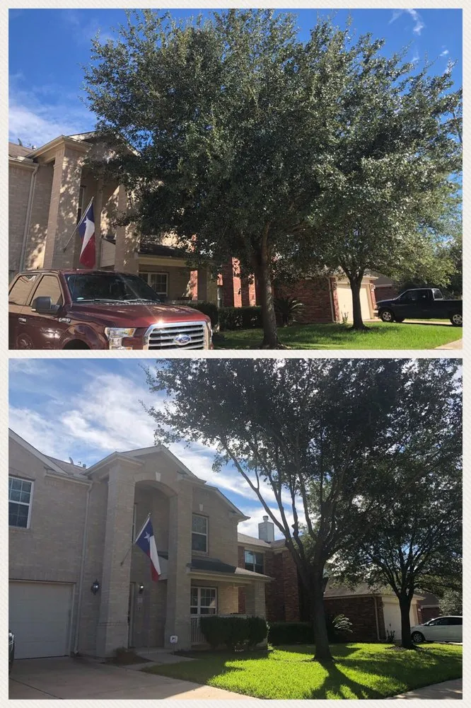 Trusted lawn care service in Houston, TX by H&H Tree Service