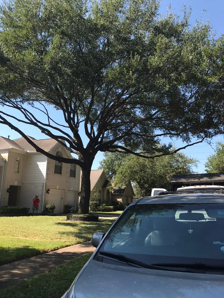 Professional residential landscaping experts serving Houston, TX - H&H Tree Service