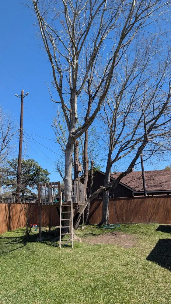 Trusted lawn care service experts serving Houston, TX - H&H Tree Service