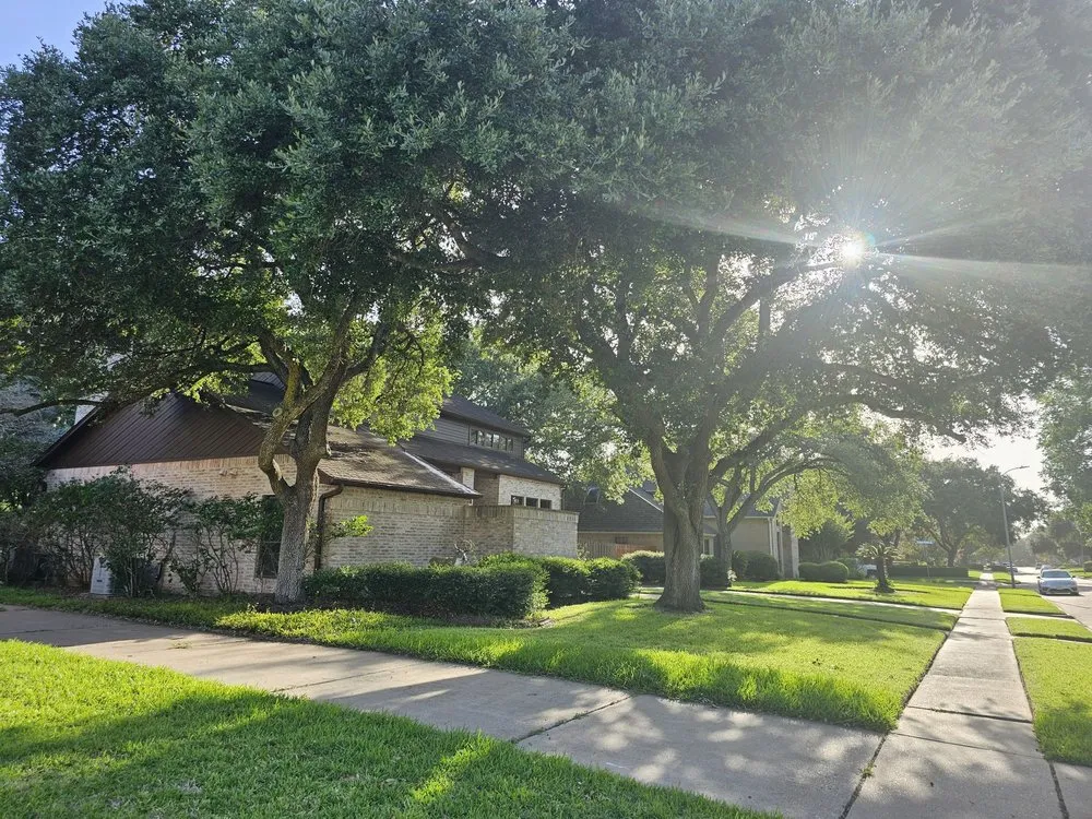 Top-rated landscaping services experts serving Houston, TX - H&H Tree Service