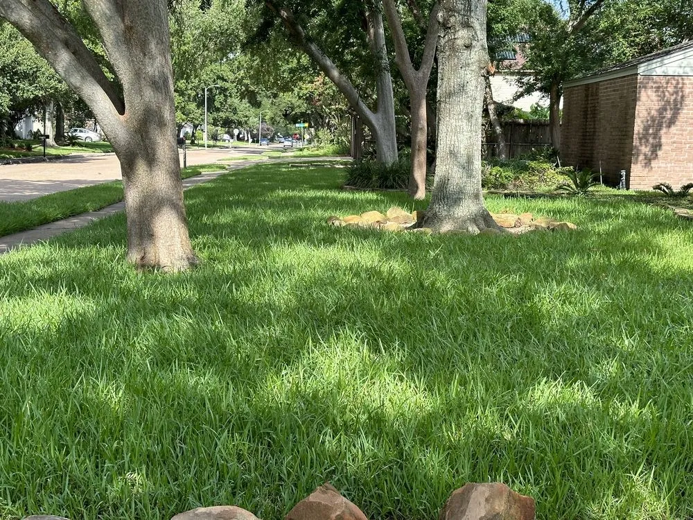 Expert landscape installation experts serving Houston, TX - H&H Tree Service