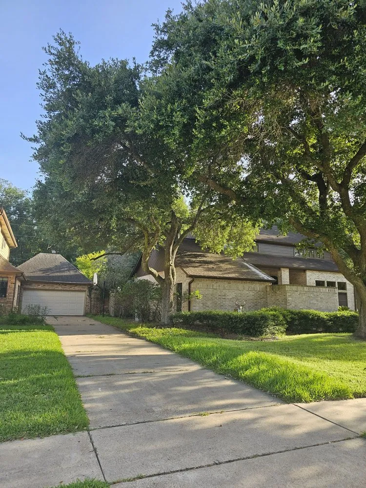 Custom lawn care service in Houston, TX by H&H Tree Service