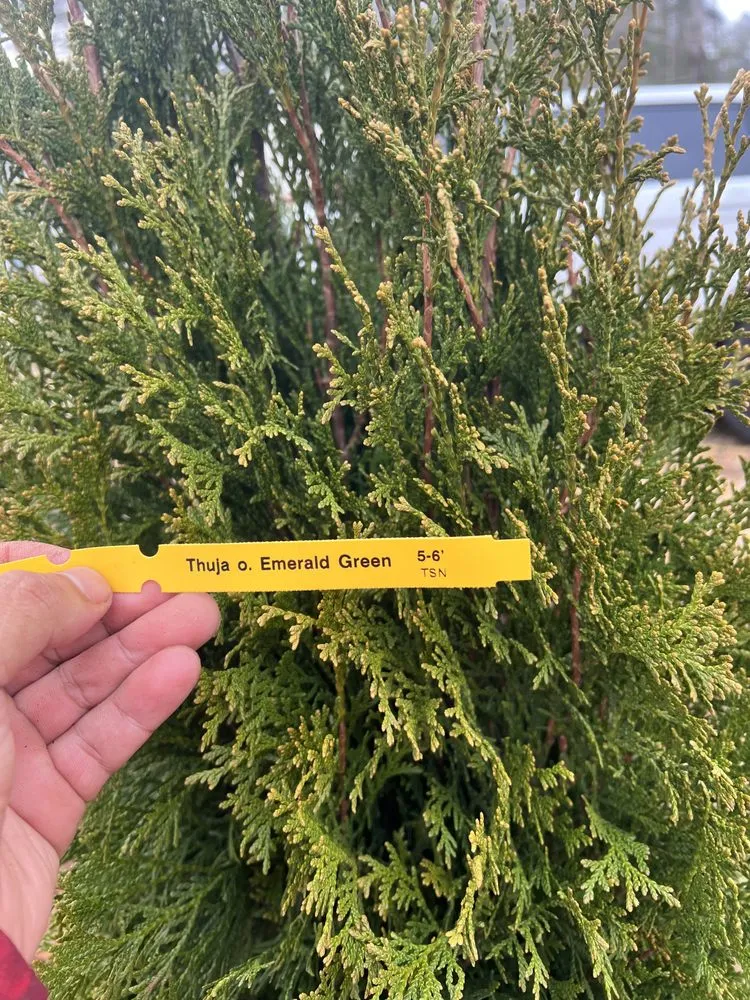 Local landscape installation in Norcross, GA by H&H Universal Landscape