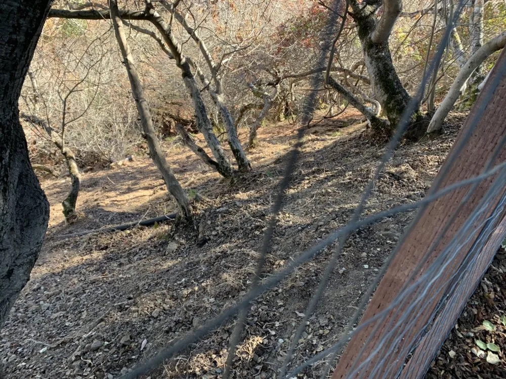 Custom garden landscaping for residential properties in San Carlos, CA by H&H Wildland Fuel Mitigation