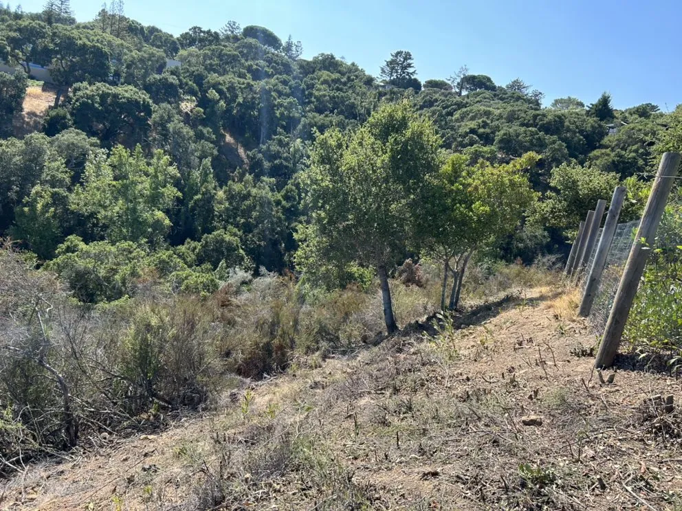 Trusted landscape installation near you across San Carlos, CA - H&H Wildland Fuel Mitigation