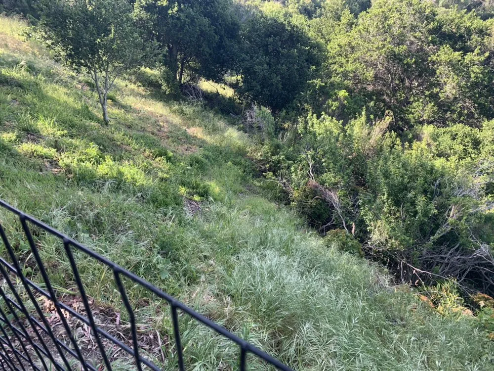 Affordable yard maintenance for year-round maintenance in San Carlos, CA by H&H Wildland Fuel Mitigation