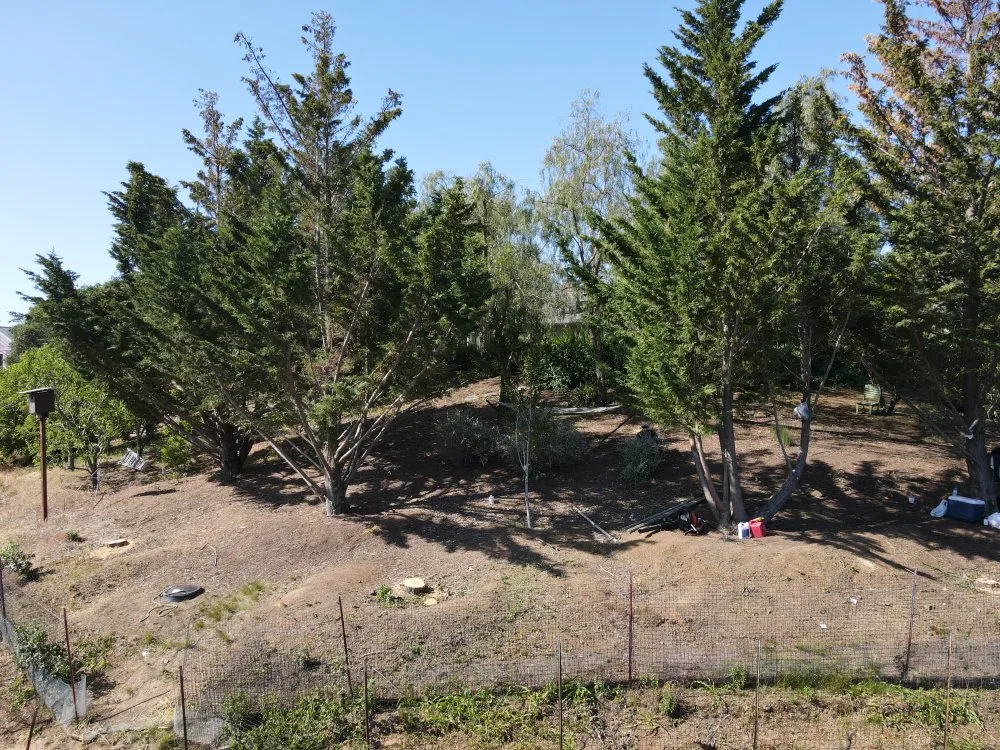 Expert outdoor landscaping for year-round maintenance in San Carlos, CA by H&H Wildland Fuel Mitigation