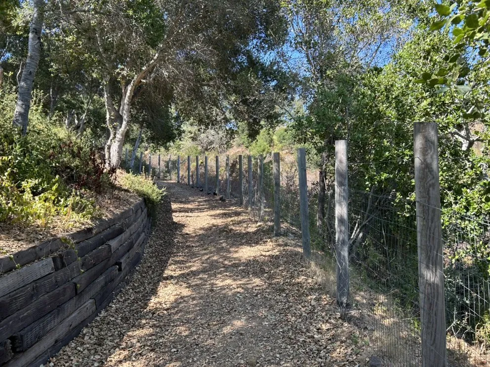 Local landscape design for residential properties in San Carlos, CA by H&H Wildland Fuel Mitigation