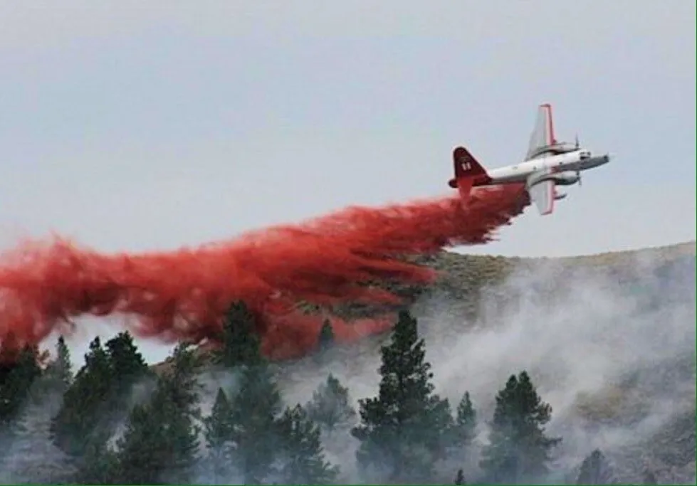 Trusted yard cleanup service experts serving San Carlos, CA - H&H Wildland Fuel Mitigation